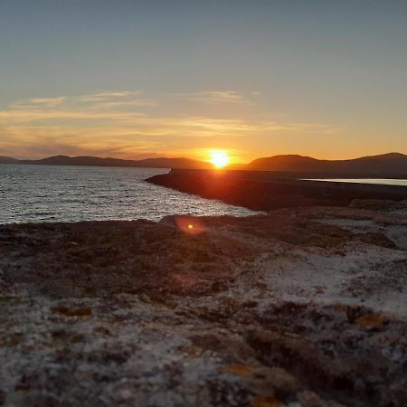 B&B Rambla De Alguer エクステリア 写真